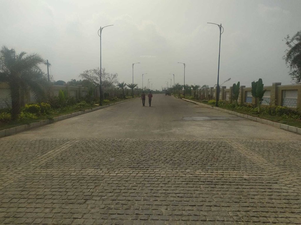  the grove Internal Roads