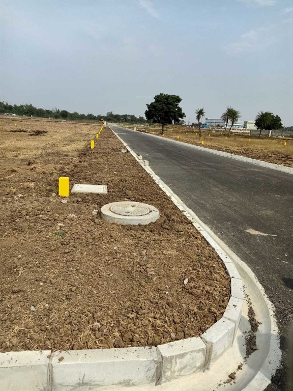  the grove Internal Roads