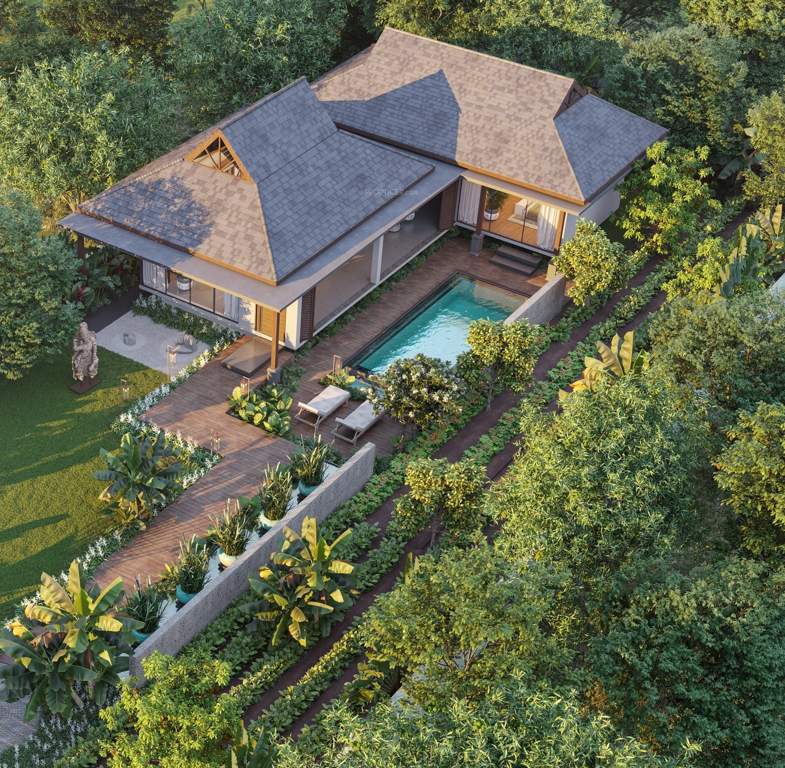  forrest trails Elevation