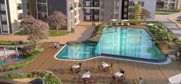 Swimming Pool lakeshore Swimming Pool