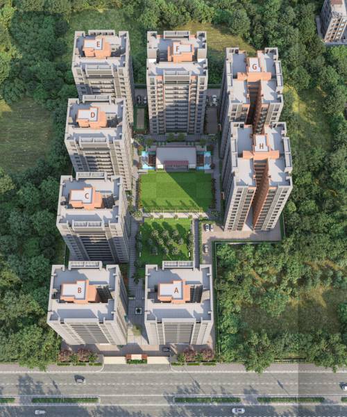 Elevation gardenia Elevation