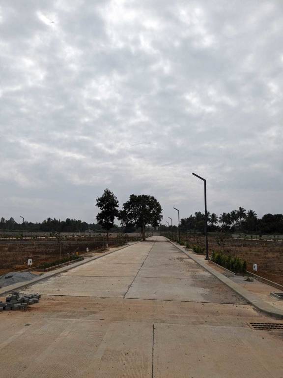  soahan serenity Plot