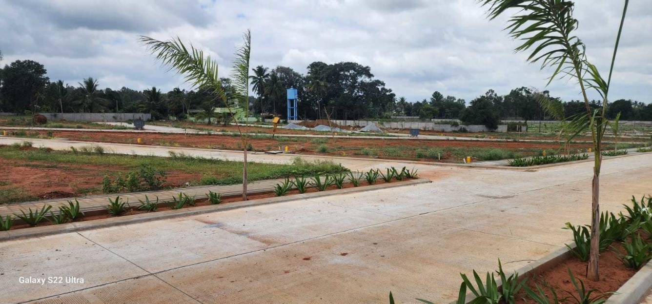  soahan serenity Plot