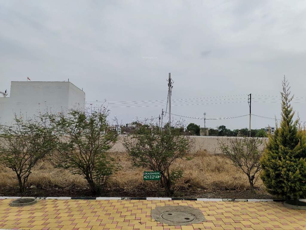  phase ii Plot