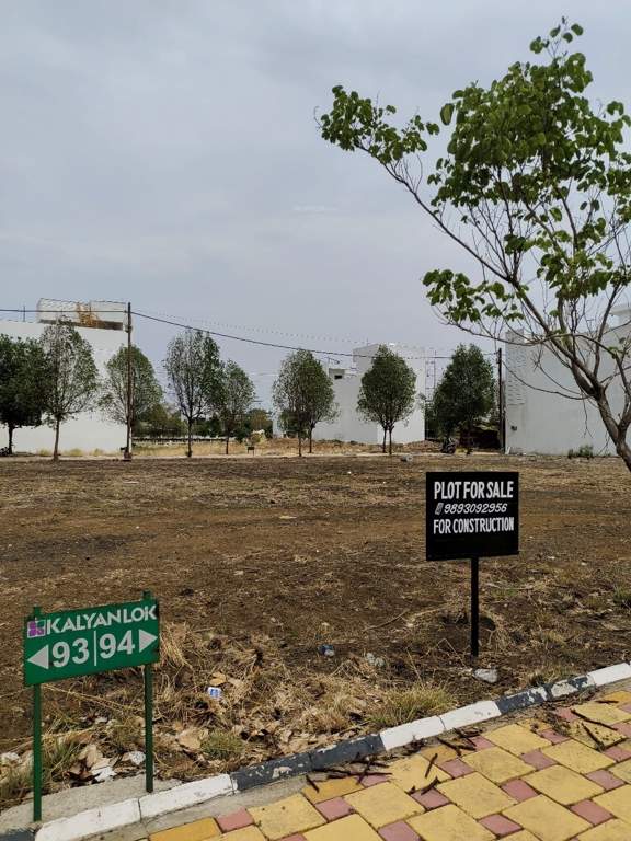  phase ii Plot