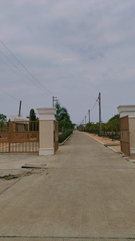  phase ii Plot