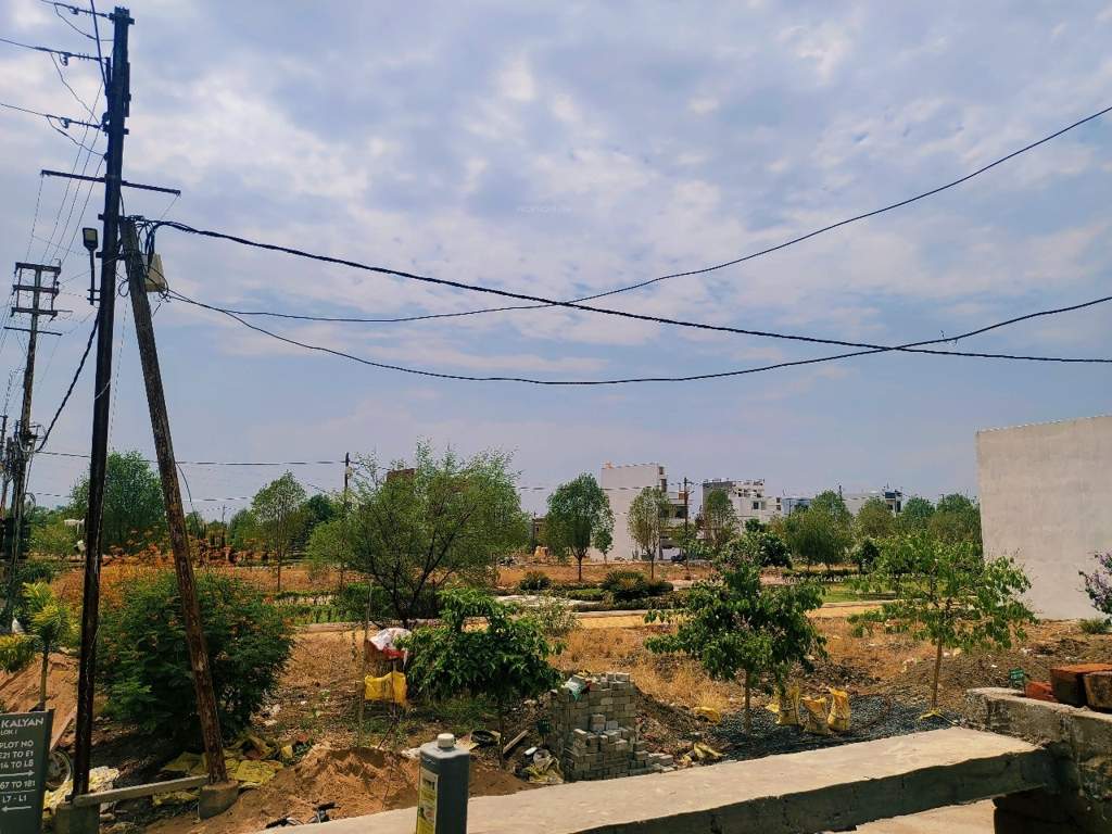  phase ii Plot