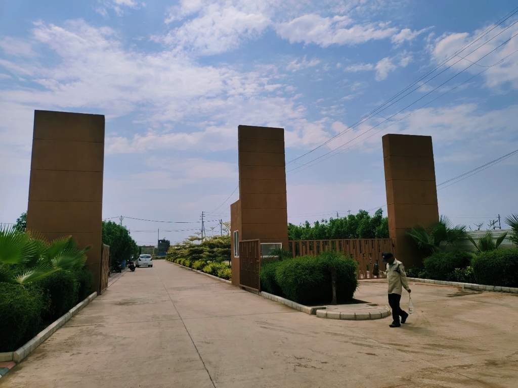 phase ii Plot