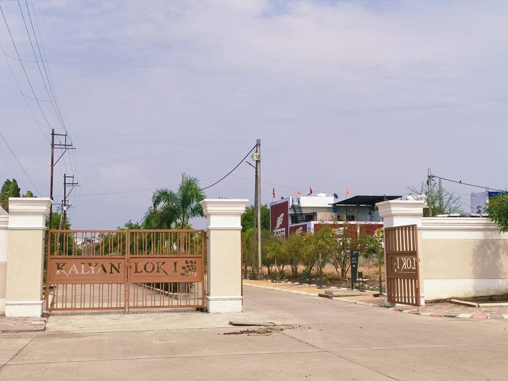  phase ii Plot