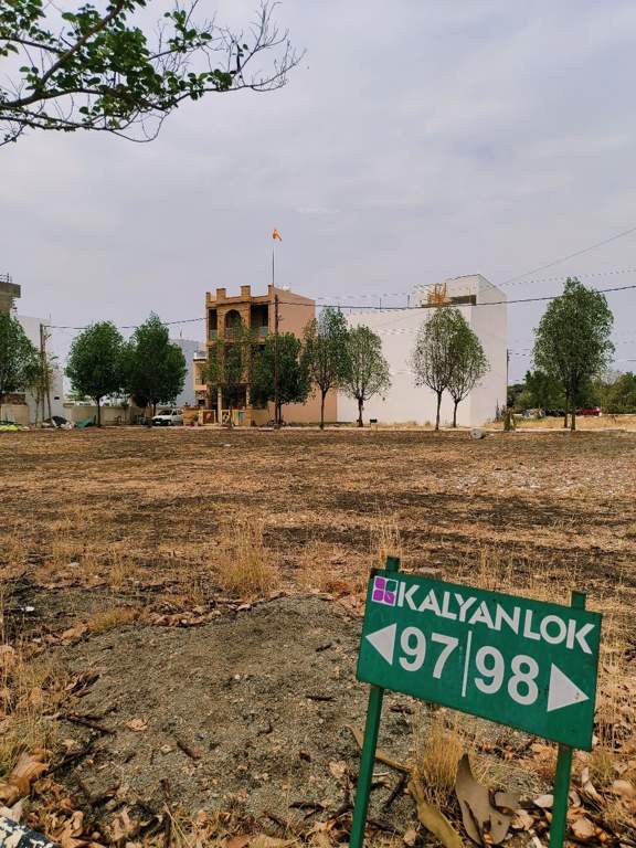  phase ii Plot