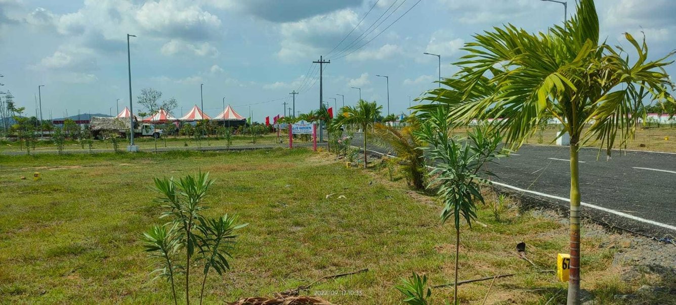  jjs garden Plot