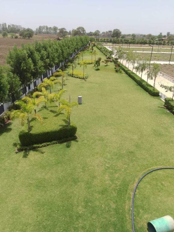  mamta golden valley Plot