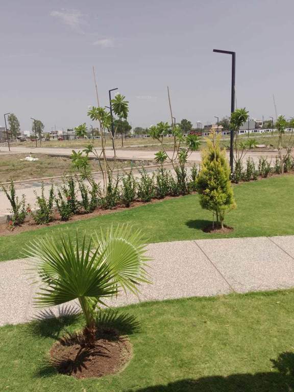  mamta golden valley Plot