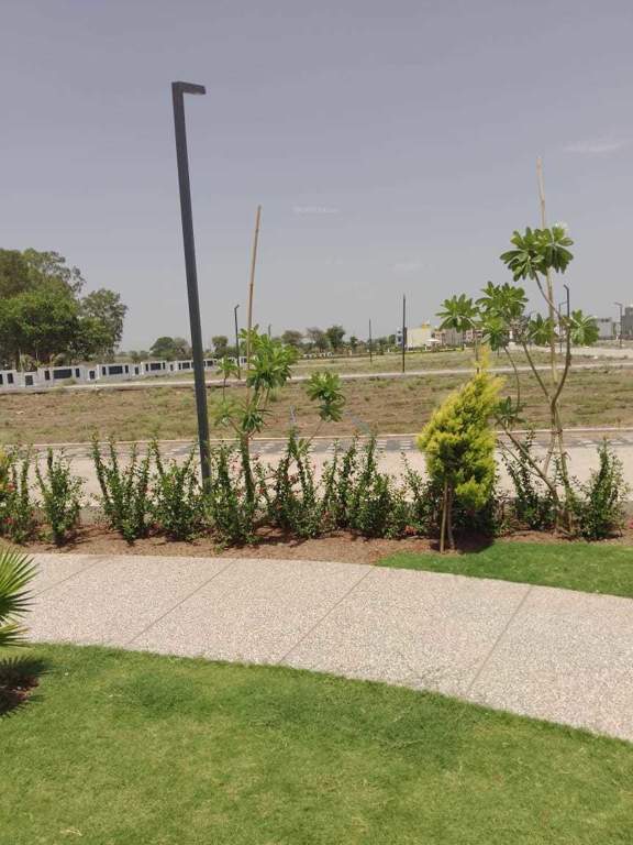  mamta golden valley Plot