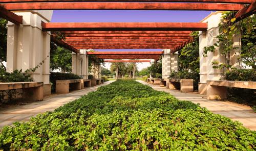  independent-floors-at-dlf-alameda Greenhouse Farming
