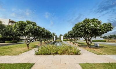  independent-floors-at-dlf-alameda Landscape Garden and Tree Planting