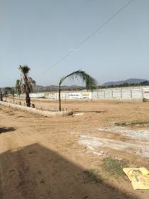 Elevation oasis-green Elevation