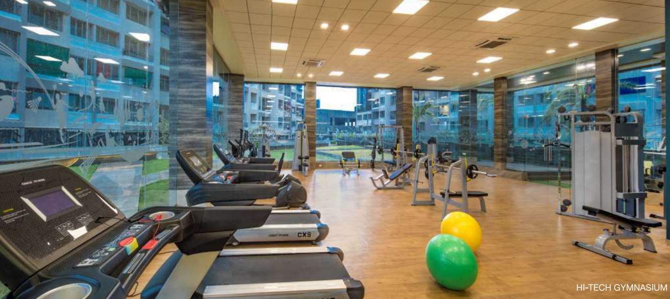  greens phase 2 d Gymnasium