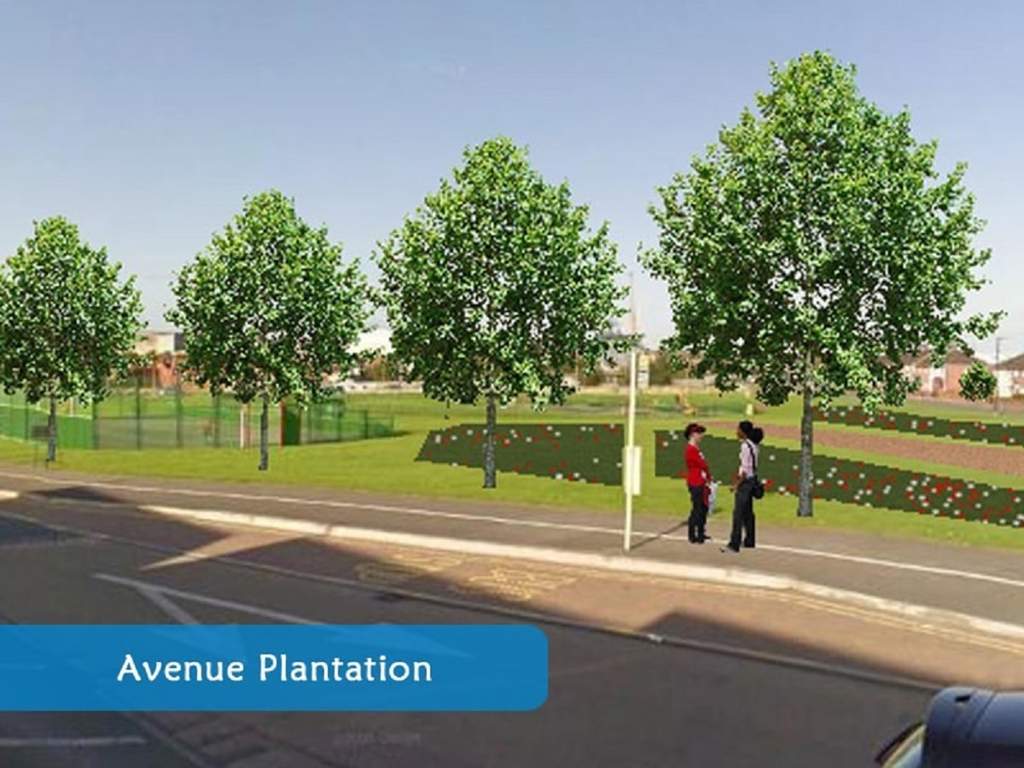  superstar phase 1 Landscape Garden and Tree Planting