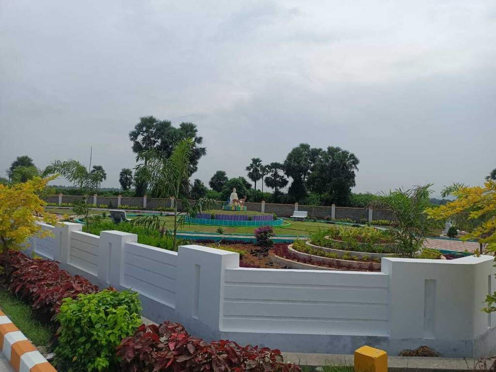  grand golagam Landscape Garden and Tree Planting