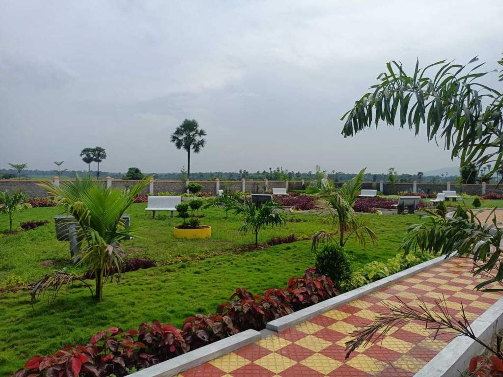  grand golagam Landscape Garden and Tree Planting