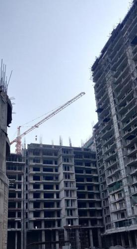  homeland-regalia Construction Status Nov-24