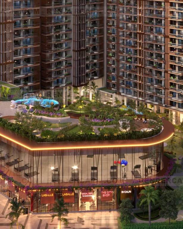 S A Homeland Regalia