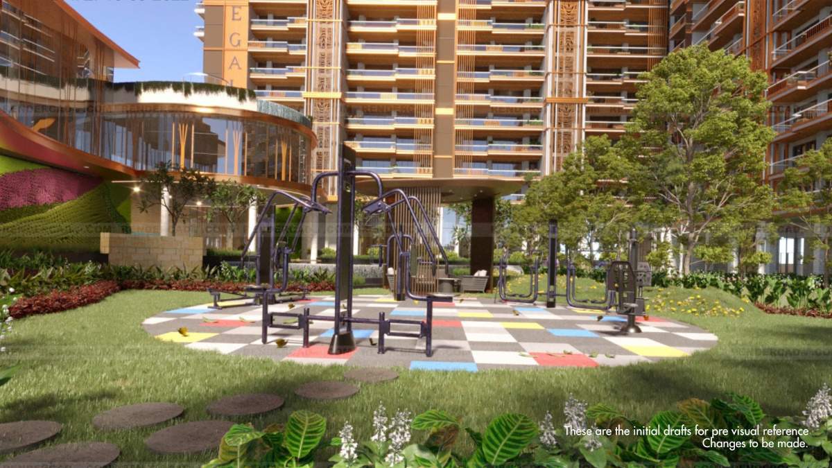  homeland regalia Gymnasium