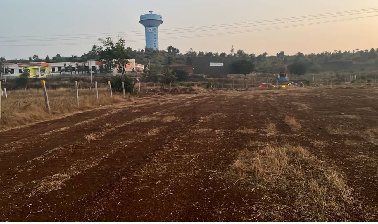  budera bliss Elevation