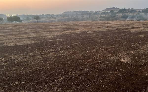  budera-bliss Elevation