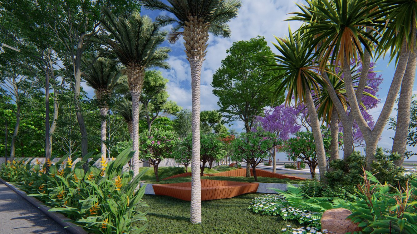  zen Landscape Garden and Tree Planting