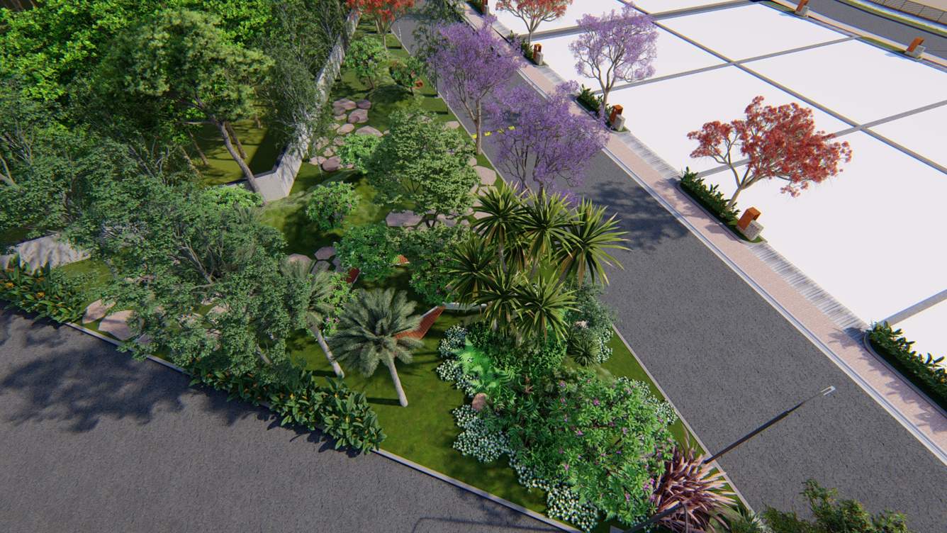  zen Landscape Garden and Tree Planting
