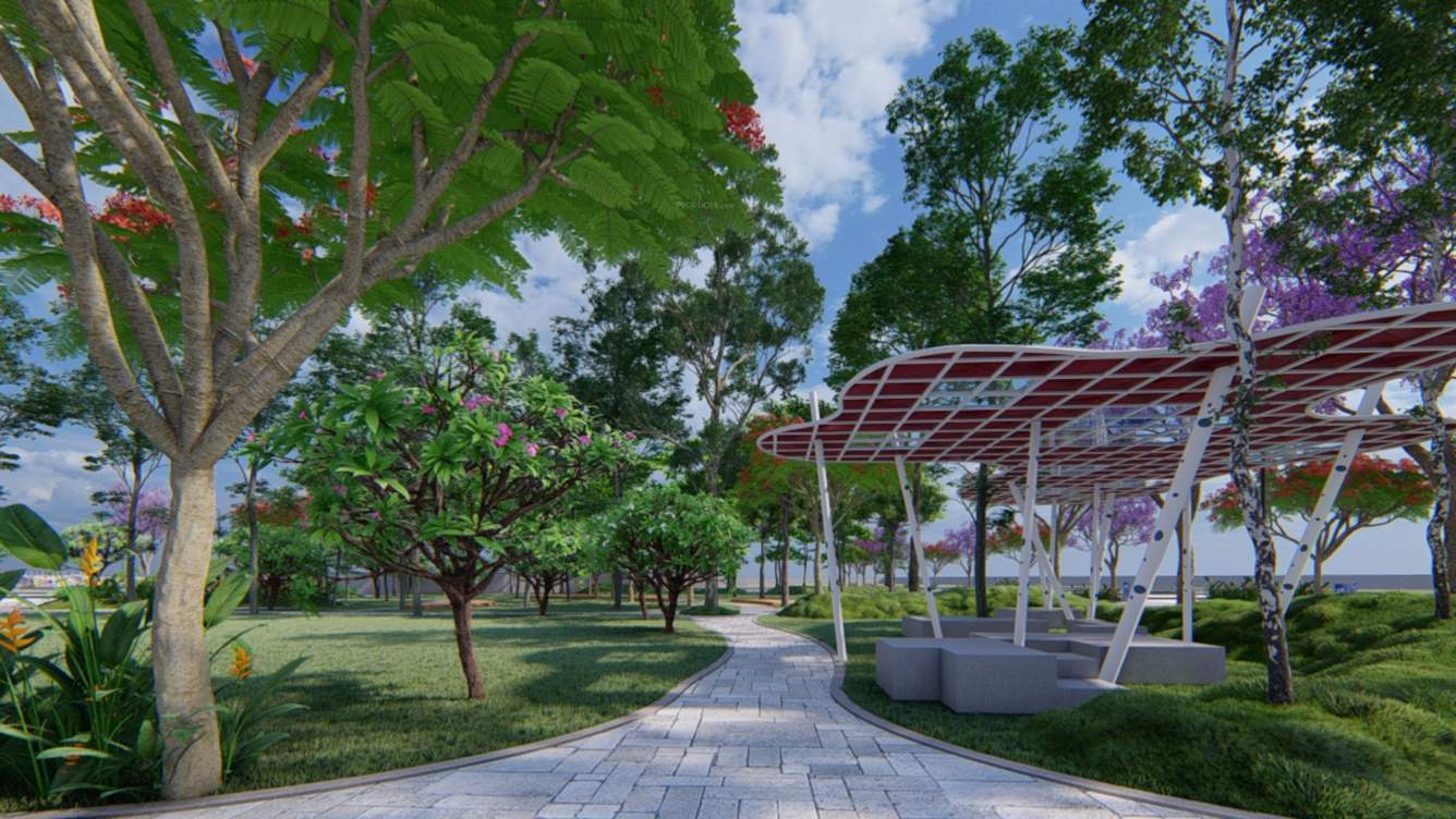  zen Senior Citizen Siteout