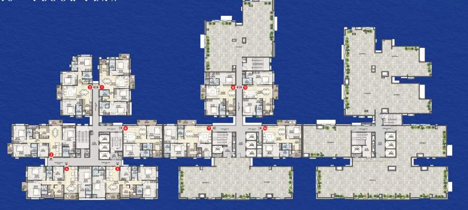  new york New York Cluster Plan