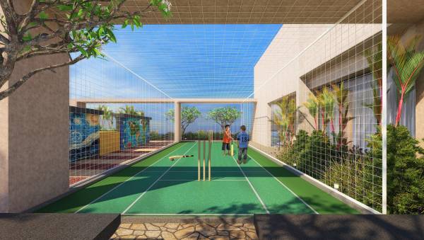  celestia Cricket Pitch