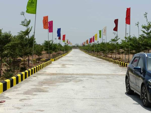  health-city-phase-iii Plot