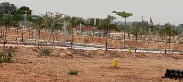 Elevation health-city Elevation