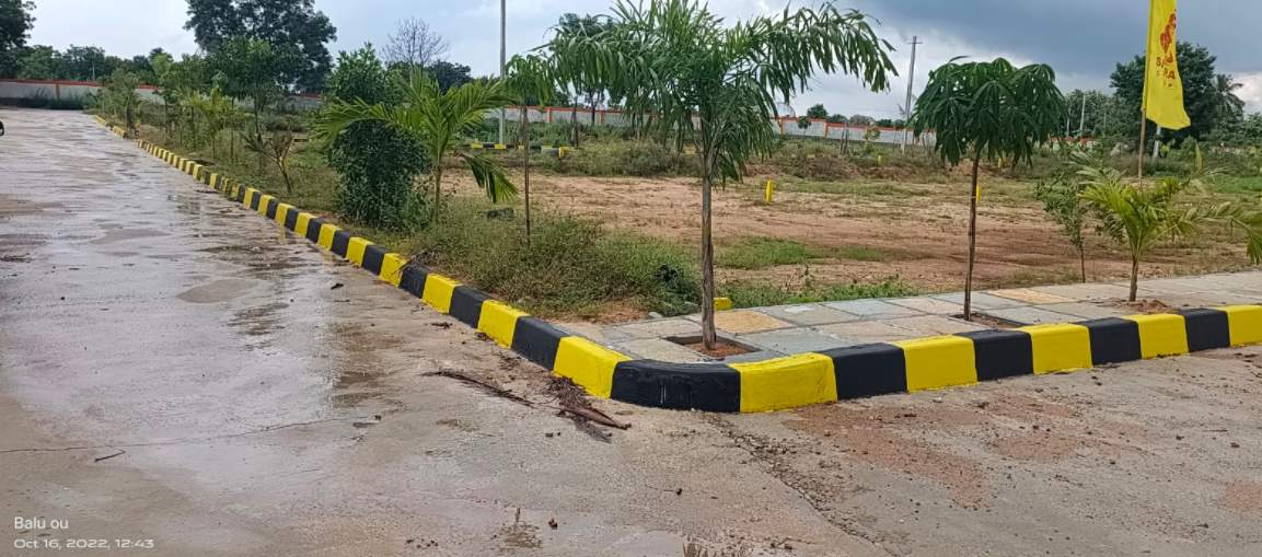  health city Landscape Garden and Tree Planting