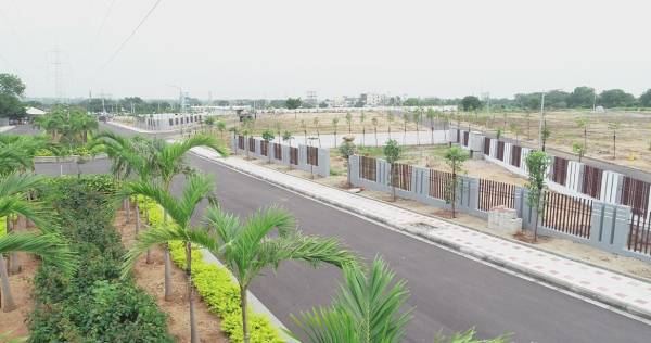  aster-meadows-phase-3 Plot