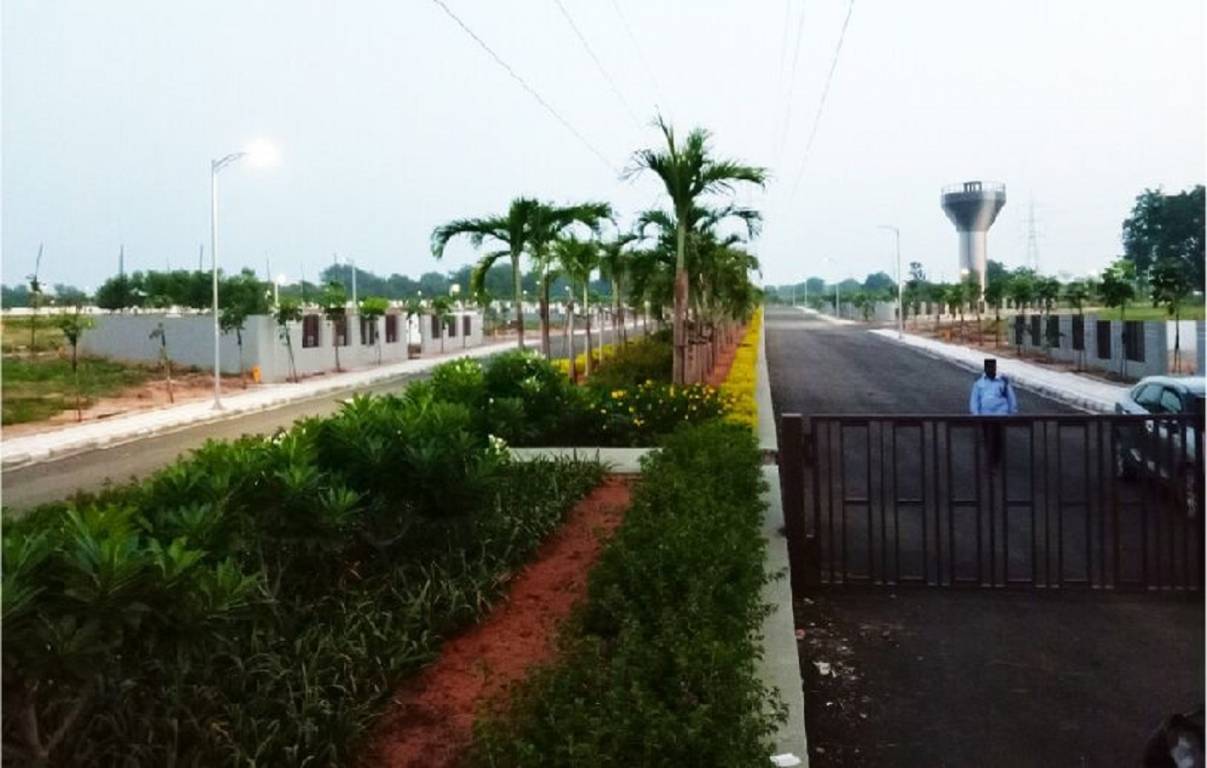  aster meadows Elevation