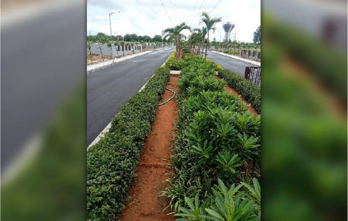  aster meadows Internal Roads