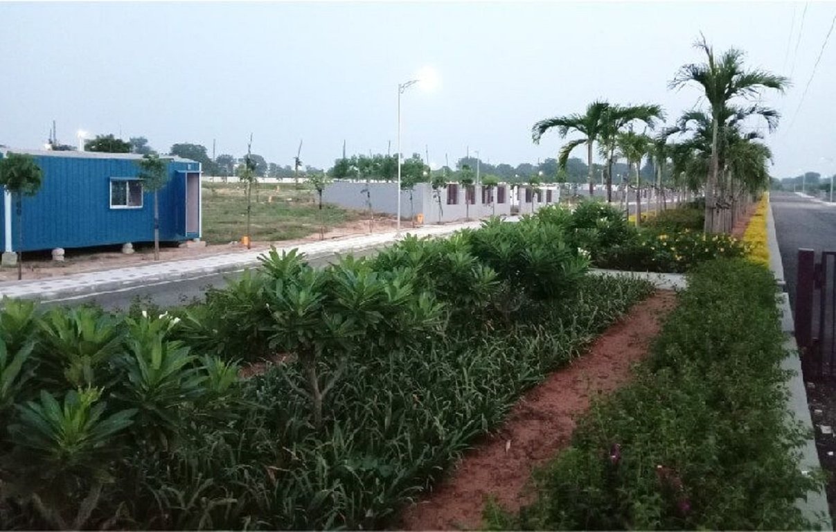  aster meadows Landscape Garden and Tree Planting