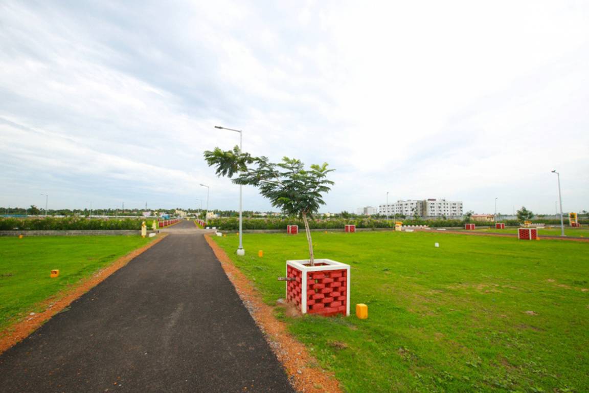 spring field phase ii Plot