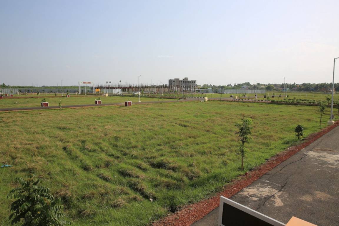 spring field phase ii Plot