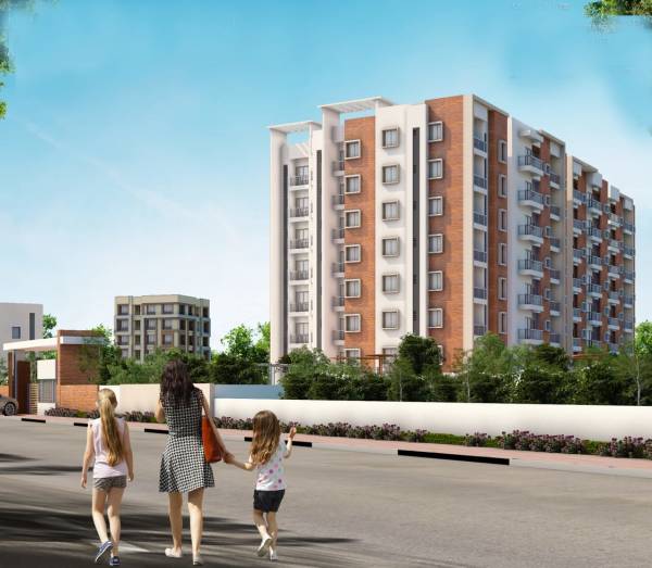  nature-woods Elevation