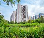  falcon-towers-at-riverview-city Elevation