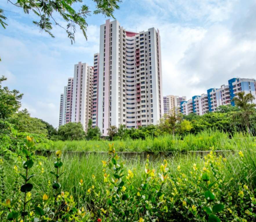  falcon towers at riverview city Elevation