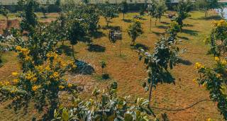 Project Image Project Image