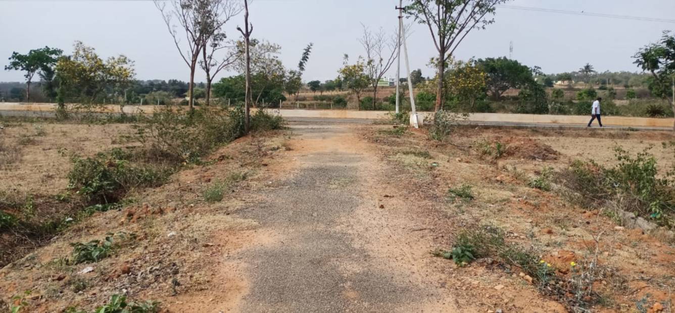 shreeji grandeur Plot