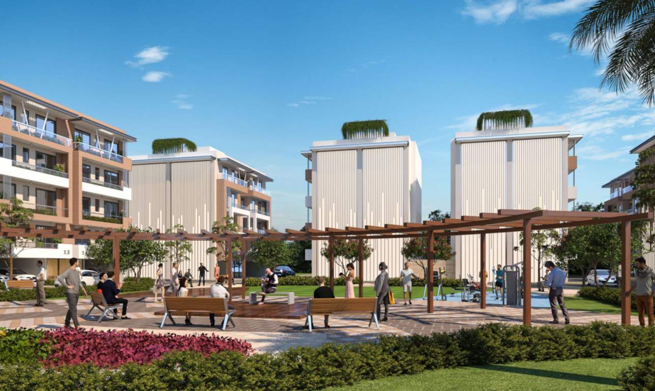  insignia park plots Landscape Garden and Tree Planting